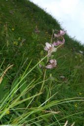 2004-08-06_imgp2356