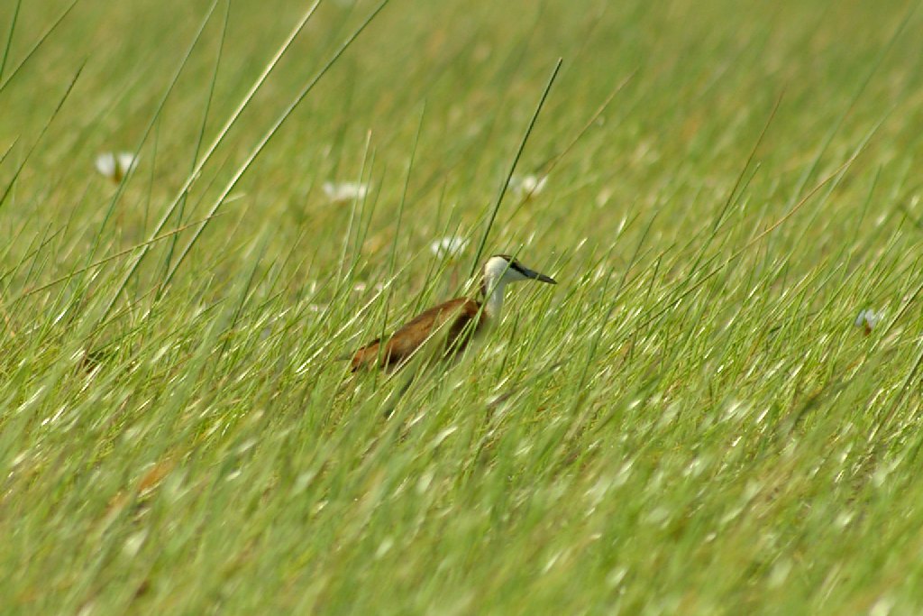 2004-09-14_IMGP4425