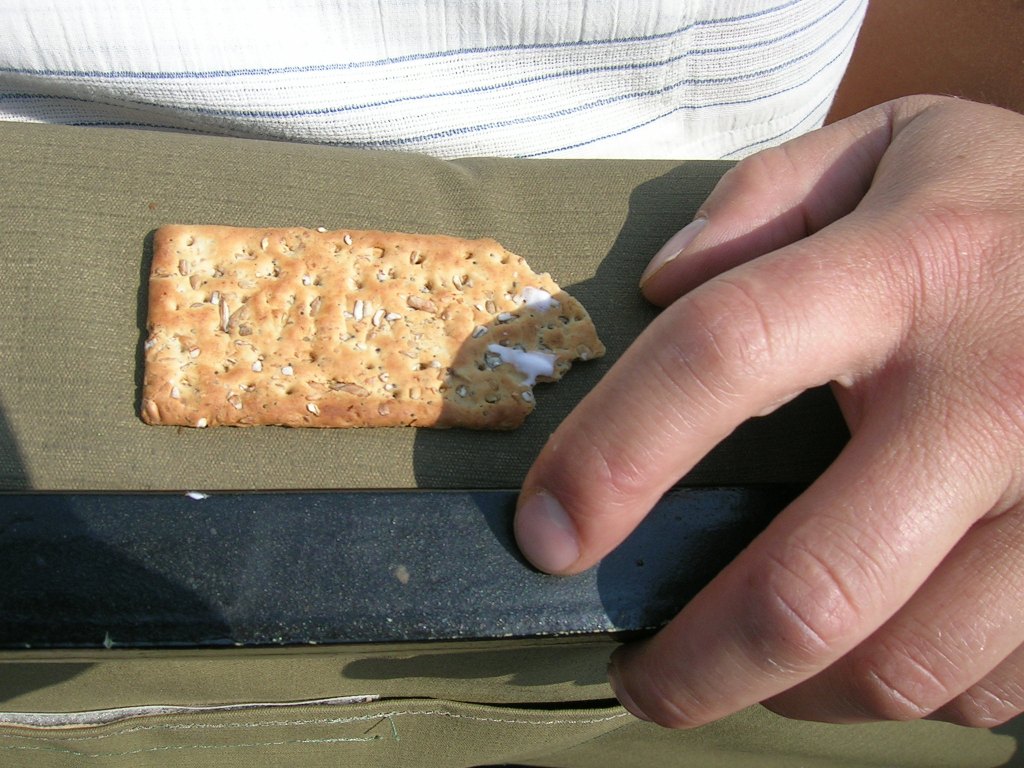 4 Attacked by an African Hand-eating Killer Biscuit