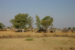 2004-09-11_IMGP4094